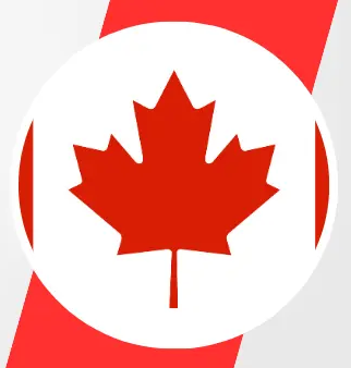 Certified Nanny Online