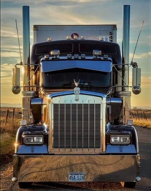 Truck Dispatch Training in Hisar