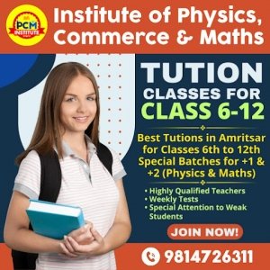PCM Institute  PhysicsMathsAccountsEconomicsBST  Tution Centre for Classes 6 to 12 BScBComBCA  Non MedicalCommerce