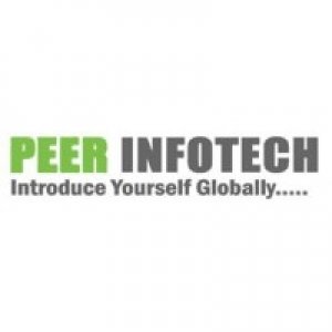Peer Infotech  Web Design Company Amritsar  Web Designer Amritsar
