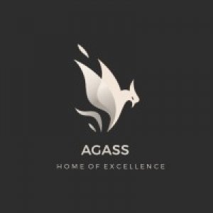 AGASS  Chartered Accountants Web developers Insurance agents and HR Marketing Business Consultants