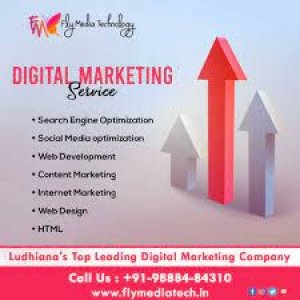 Best Digital Marketing training and service provider company  Fly Technocrate