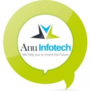 Anu Infotech