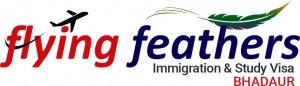 Flying feathers immigration and study visa