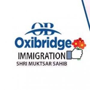 Oxibridge Ielts