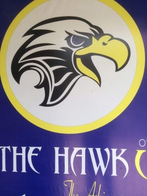 The Hawk i