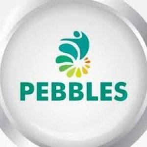 The Pebbles Institute