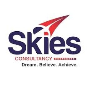 Skies Consultancy