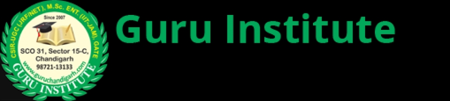Guru Institute