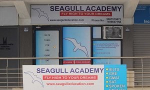 Seagull Acedamy