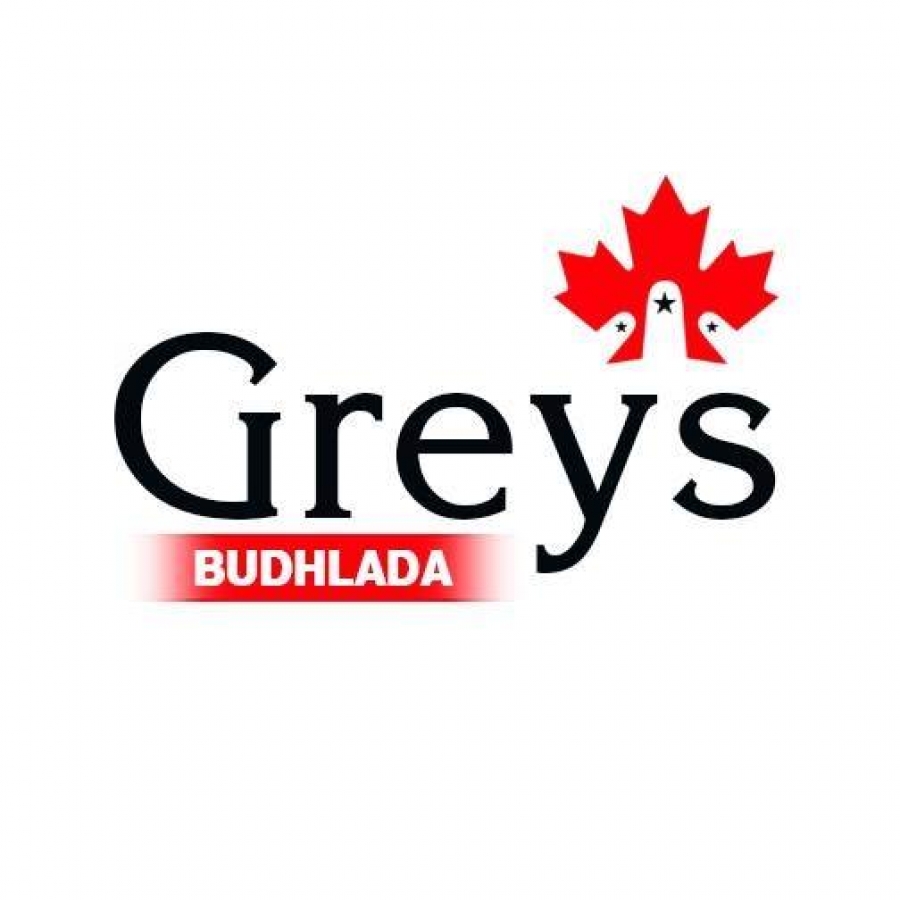 GREYS IELTS Institute