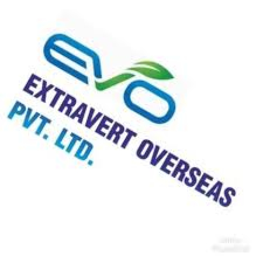 EXTRAVERT OVERSEAS