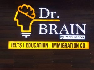 Dr.Brain By Panzi Kapoor