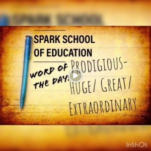 Spark School Of Education