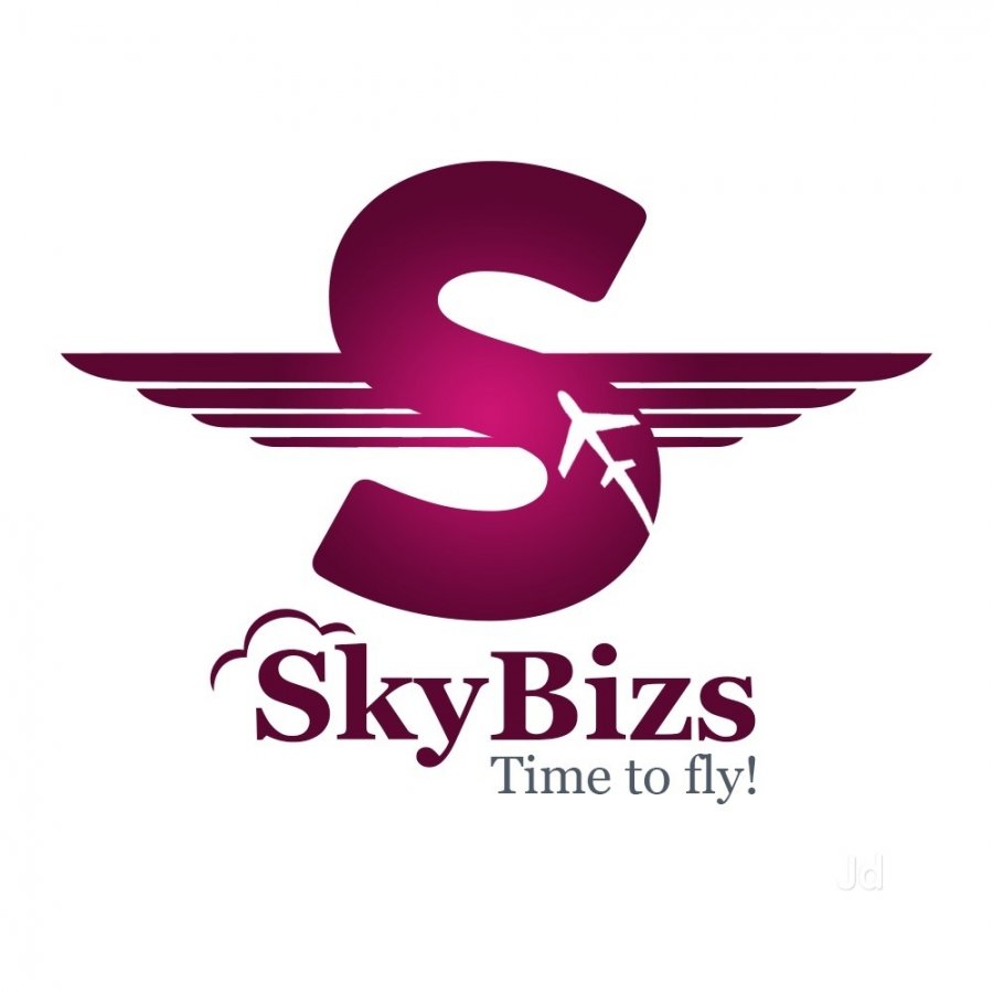 SkyBizs