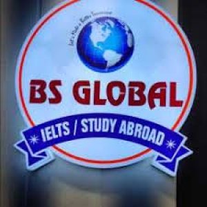 BS GLOBAL IMMIGRATION