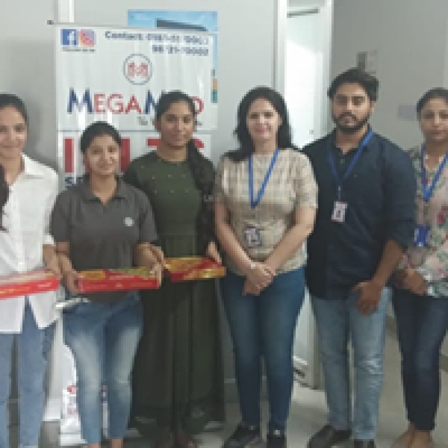 MEGAMIND   The Way to Success