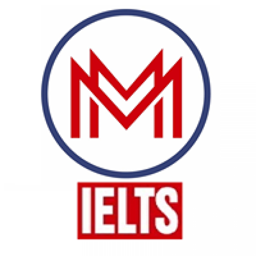 MEGAMIND   The Way to Success