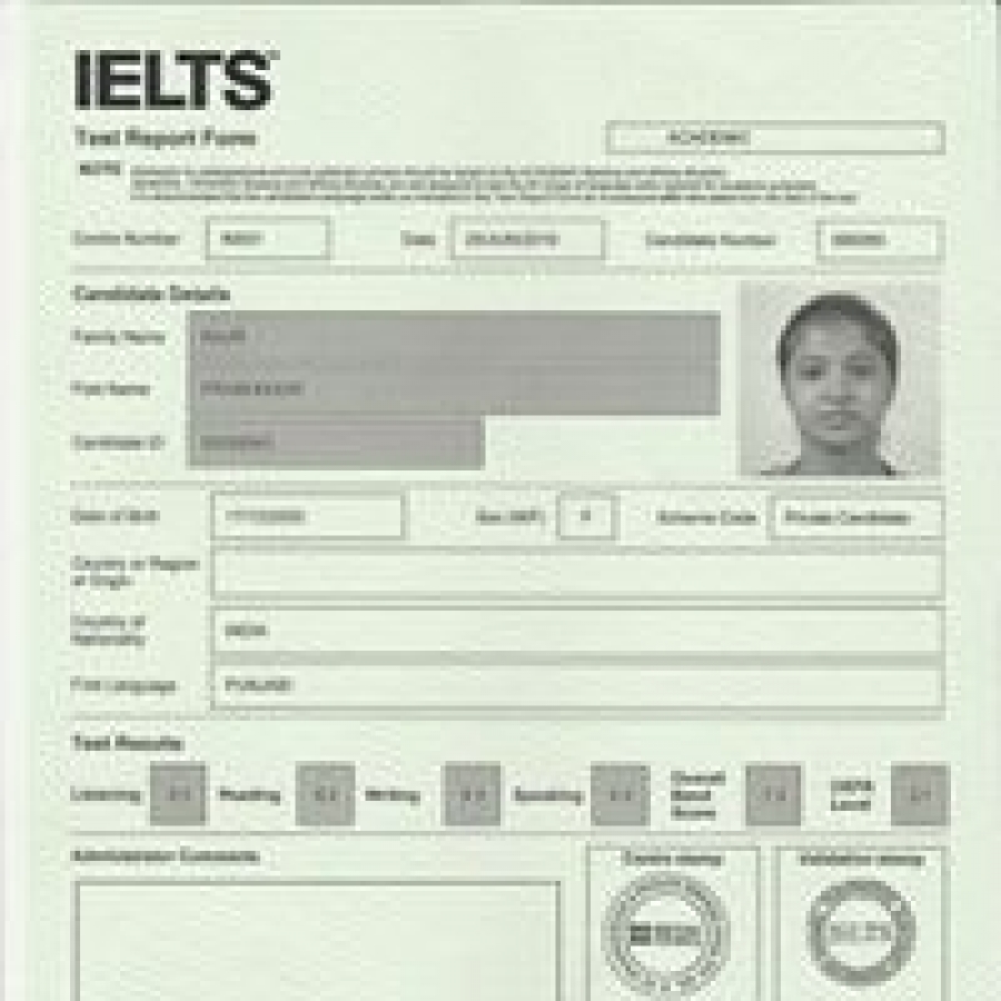 MEGAMIND   The Way to Success