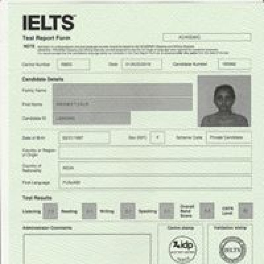 MEGAMIND   The Way to Success