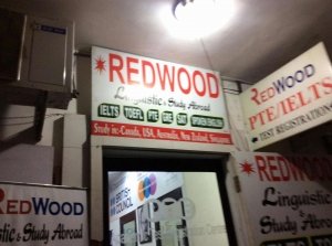 REDWOOD