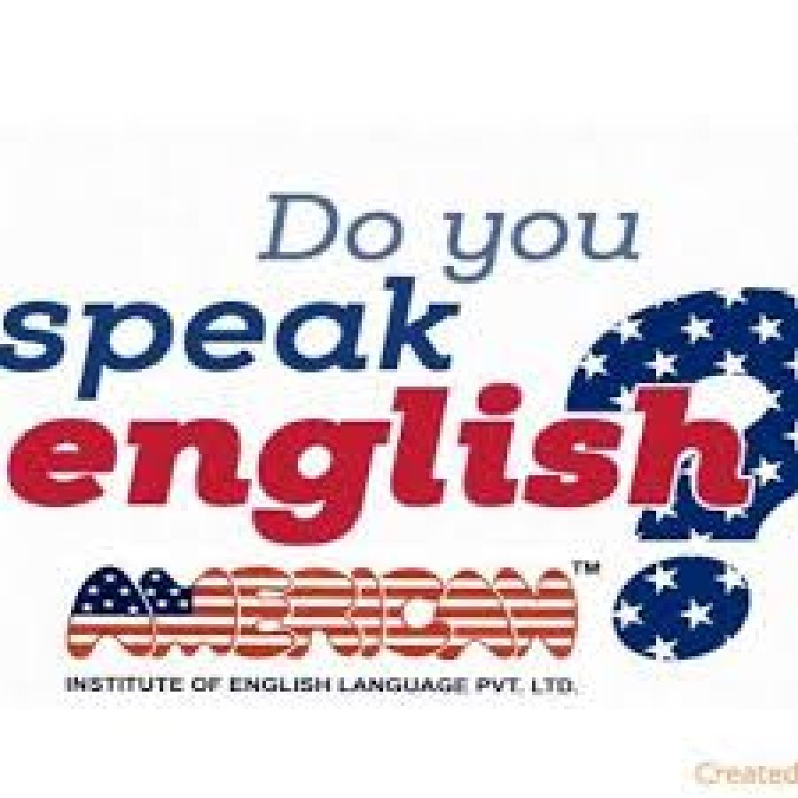 AMERICAN INSTITUTE OF ENGLISH LANGUAGE PVT LTD