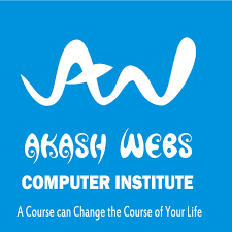 Akash Webs Computer Institute In Ludhiana