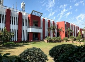 St Sai Senior Secondary School  Green Field