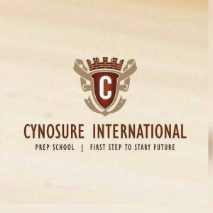 Cynosure International Pre School  Best Pre School  Playway School  Kindergarten in Jalandhar