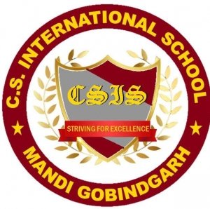 CSInternational School