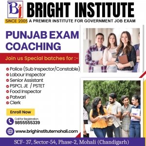 Bright Institute - Bank Po Coaching in Mohali | SSC Exam | Punjab Police Coaching in Mohali