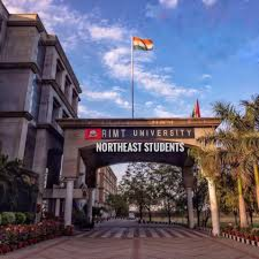 RIMT University