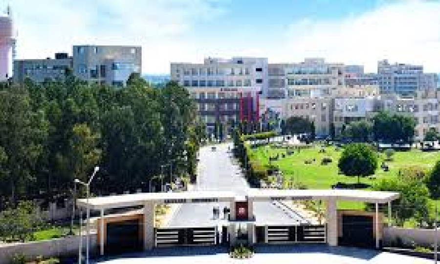 Chitkara University