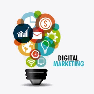 Best Digital Marketing Courses In Amritsar - Dizilogy