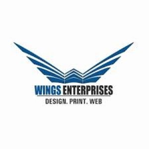 WINGS INTERPRISES