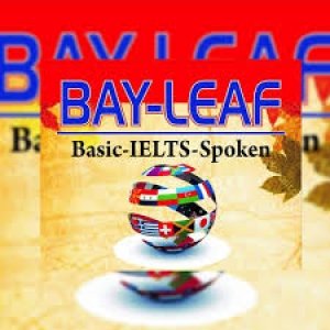 BayLeaf