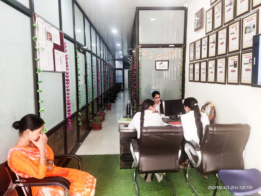 Flying feathers immigration and study visa