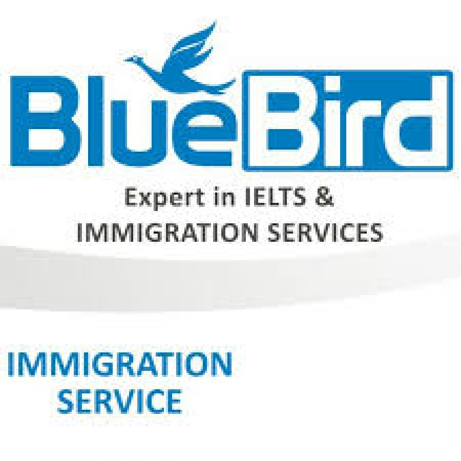 Blue Bird Immigration