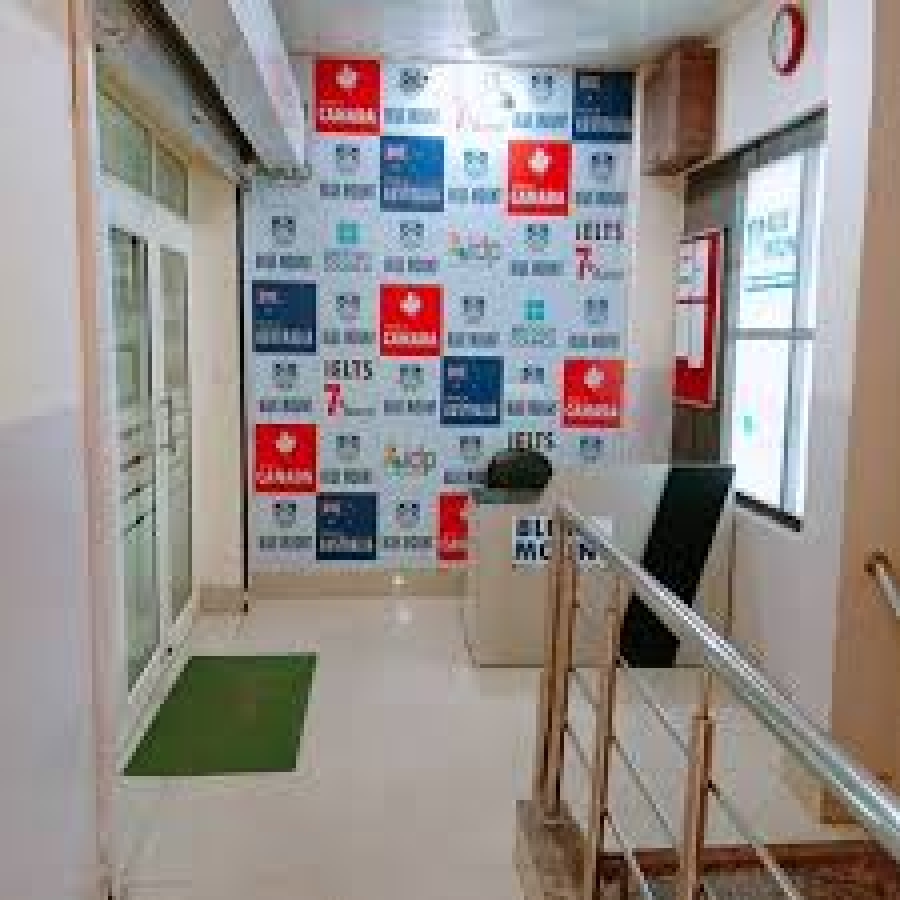 Blue Mount International Acdemy