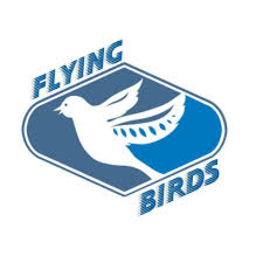 Flying Birds Educational & Travel services