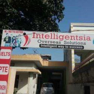 Intelligentsia Overseas Solutions