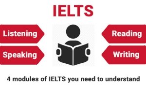 Future Vision - Best Ielts Institute In Tohana