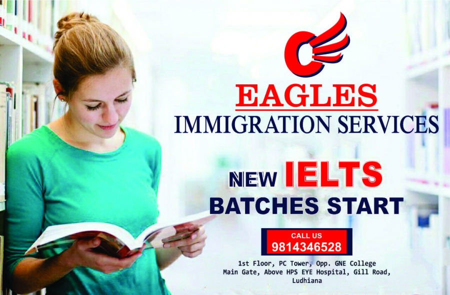 EAGLES IMMIGRATION SERVICES LUDHIANA