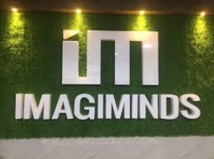 IMAGIMINDS